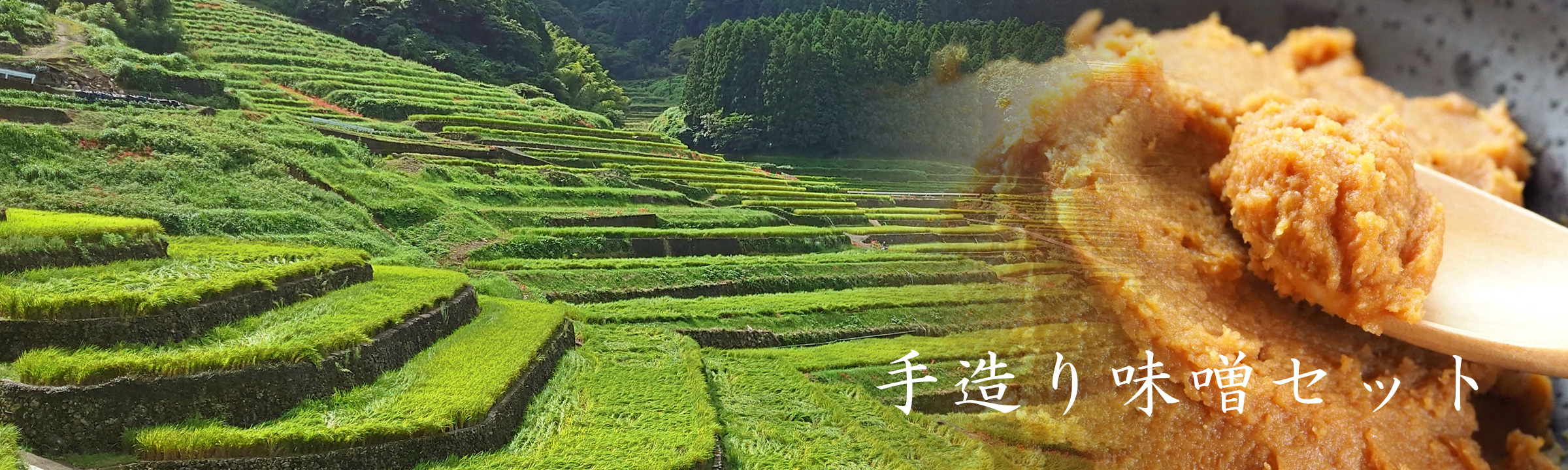 長崎 有明 海産物 坂田冷凍